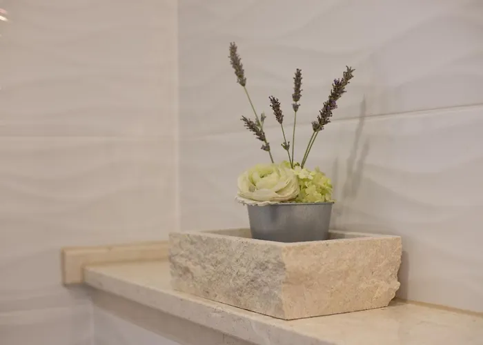 Buky House 苏曼婷