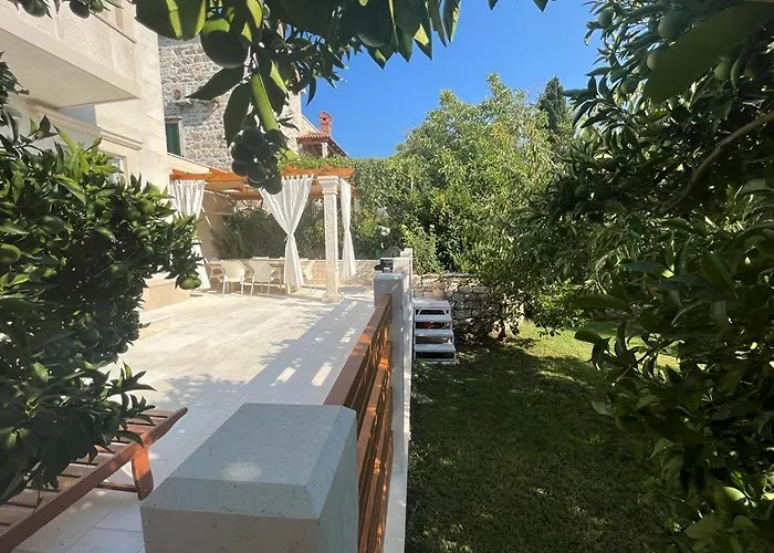 Buky House 苏曼婷